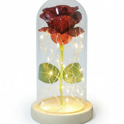 Enchanted Glitter Rose real use scene 1