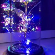 Enchanted Glitter Rose real use scene 3