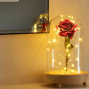 Enchanted Glitter Rose real use scene 4