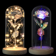 Galaxy Rose Display real use scene 1