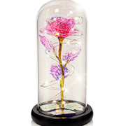 Galaxy Rose Display real use scene 2