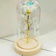 Galaxy Rose Display real use scene 3