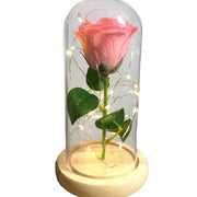 Novora Flow Enchanted Glitter Rose real use scene 2