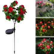 Solar Azalea Garden Stake Lights real use scene 3