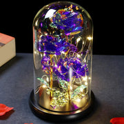Traditional Arts Galaxy Rose Display real use scene 1