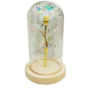 Traditional Arts Galaxy Rose Display real use scene 2