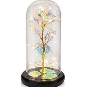 Traditional Arts Galaxy Rose Display real use scene 3