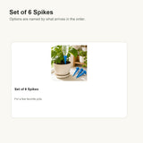 Set of 6 Spikes