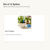 Set of 12 Spikes