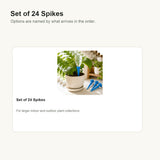 Set of 24 Spikes